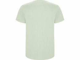Roly Футболка "Stafford" мужская, припыленный зеленый