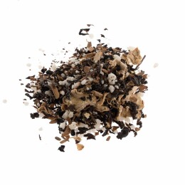 сделано в России Чай «Сокочай», черный с имбирем, корицей и медом