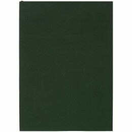 Inspire Ежедневник Flat Light, недатированный, зеленый