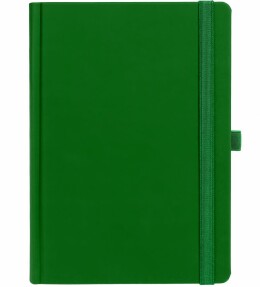Контекст Ежедневник Favor, недатированный, ярко-зеленый
