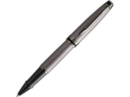 Waterman Ручка-роллер Waterman Expert Silver F BLK в подарочной упаковке