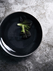 Разное Глубокая тарелка VINGA Nomimono, d31 см