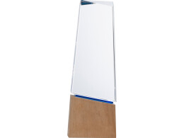 Разное Награда "Konix", синий