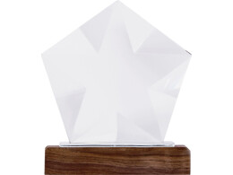 Разное Награда "Interstellar", прозрачный