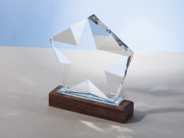 Разное Награда "Interstellar", прозрачный