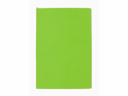 Разное Бизнес-блокнот C1 софт-тач, гибкая обложка, 128 листов, зеленое яблоко