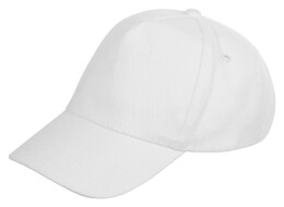 US Basic Бейсболка «Florida 350» 5-панельная, белый (P)
