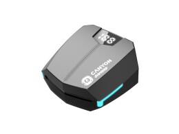 CANYON Игровая гарнитура Canyon DoubleBee GTWS-2, черный (CND-GTWS2B)