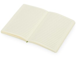 Разное Блокнот "Softy 2.0", гибкая обложка A6, 80 листов, зеленое яблоко