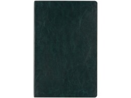 Bruno Visconti Ежедневник недатированный А5 "Megapolis Nebraska Flex", зеленый с золотым обрезом