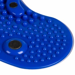 Разное Диск здоровья вращающийся SpinTeam, белый с синим