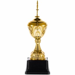 Разное Кубок Top Star, золотистый