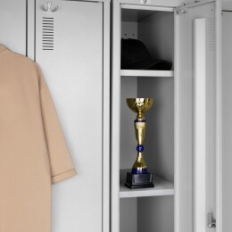 Разное Кубок Awardee, малый, синий