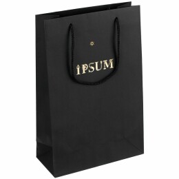 Разное Пакет бумажный Waski M, черный