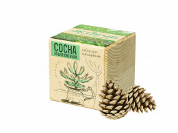 Разное Набор для выращивания "Экокуб Classic "Сосна обыкновенная"