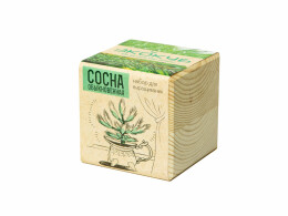 Разное Набор для выращивания "Экокуб Classic "Сосна обыкновенная"