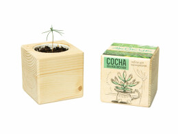 Разное Набор для выращивания "Экокуб Classic "Сосна обыкновенная"