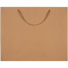 Разное Пакет бумажный Plat L, крафт