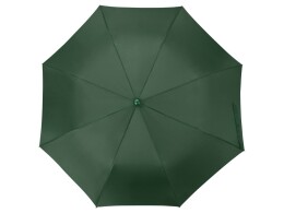Разное Зонт складной "Tulsa", полуавтоматический, 2 сложения, с чехлом, зеленый