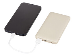 Evolt Внешний аккумулятор "Reserve Pro", 10 000 mah, бежевый