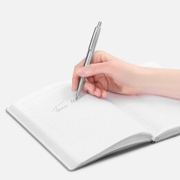 Разное Ручка шариковая Poetica, серебристая