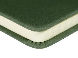 Bruno Visconti Ежедневник недатированный А5 "Megapolis Velvet New", темно-зеленый