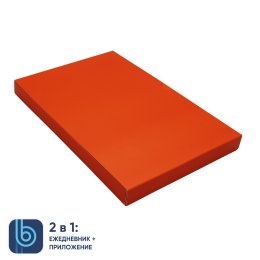 1 Коробка под ежедневник Bplanner (оранжевый)