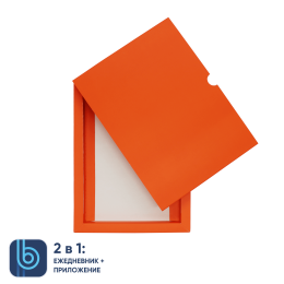 1 Коробка под ежедневник Bplanner (оранжевый)