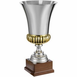 Разное Кубок Erfolg, серебристый