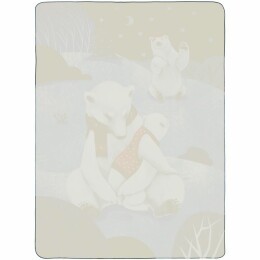 сделано в России Флисовый плед Wintart Bear