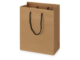 Разное Пакет подарочный Kraft S, 23x30x12 см (Р)