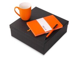 Разное Подарочный набор c блокнотом C1, ручкой и кружкой, оранжевый