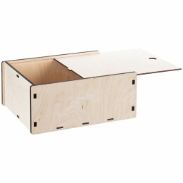 сделано в России Коробка-пенал Gabe