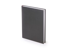 Альт Ежедневник датированный А5 «Ideal New» 2025, черный