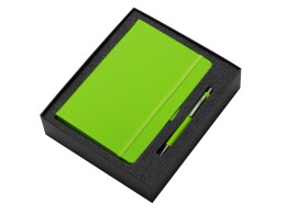 Разное Подарочный набор Vision Pro soft-touch с ручкой и блокнотом А5, зеленое яблоко