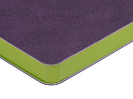 Bruno Visconti Ежедневник А5 датированный "Boston" 2026, фиолетовый с салатовым обрезом