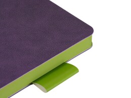 Bruno Visconti Ежедневник А5 датированный "Boston" 2026, фиолетовый с салатовым обрезом