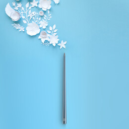 Разное Вечная ручка Pininfarina Forever Prima TITANIUM