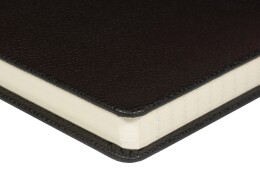 Bruno Visconti Ежедневник А5 датированный "Megapolis Loft" на 2026, черный