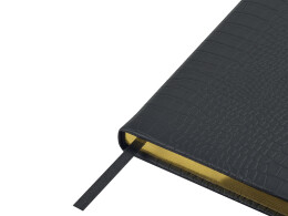 Bruno Visconti Ежедневник недатированный А5 "Amazonia", черный с золотым обрезом