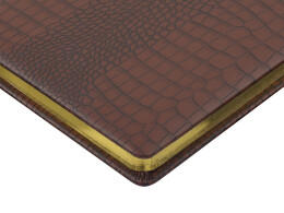 Bruno Visconti Ежедневник недатированный А5 "Amazonia", коричневый с золотым обрезом