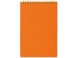 Bruno Visconti Блокнот А5 на гребне "Pragmatic" 60 листов в линейку, оранжевый (Р)