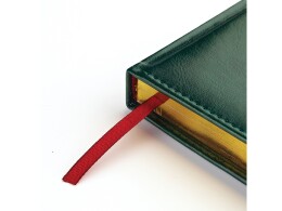 Bruno Visconti Ежедневник недатированный А4 "Sidney Nebraska", зеленый (золотой обрез) (Р)