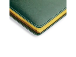 Bruno Visconti Ежедневник недатированный А4 "Sidney Nebraska", зеленый (золотой обрез) (Р)