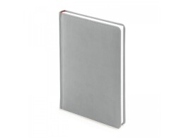 Bruno Visconti Ежедневник недатированный А5 «Velvet», серебряный (Р)