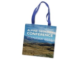 Разное Сумка для шопинга с возможностью полноцветной печати