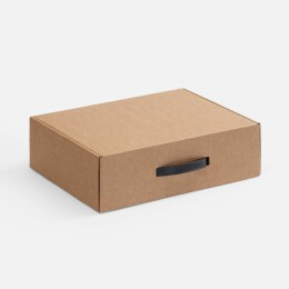 сделано в России Коробка Light Case, ver.2, бежевая