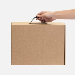 сделано в России Коробка Light Case, ver.2, бежевая