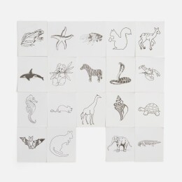 Разное Набор для раскрашивания Create, белый