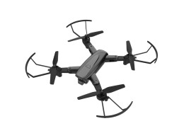 HIPER Квадрокоптер Hiper HQC-0031 Paladin FPV 0.3Mpix 480р WiFi ПДУ черный/серый (Р)